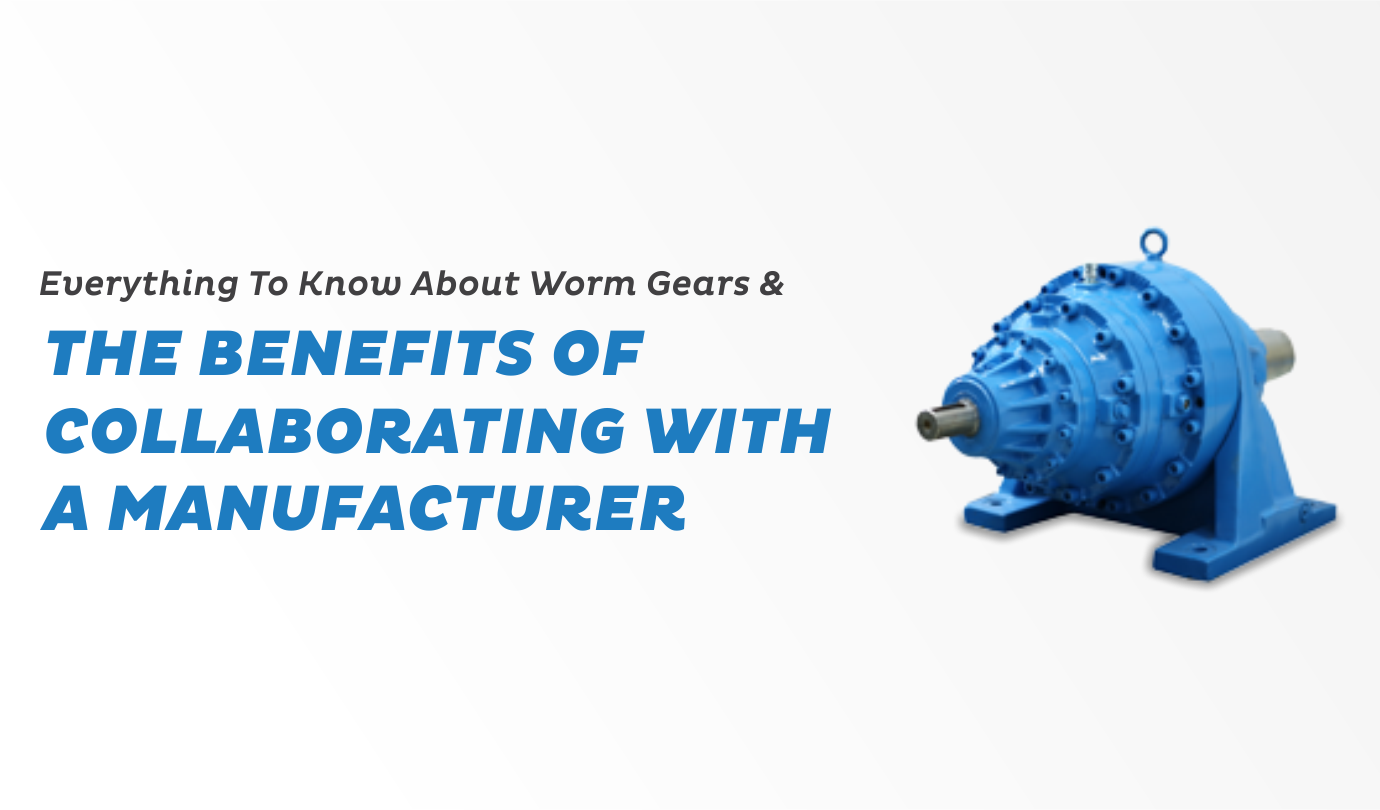 Everything to Know About Worm Gears